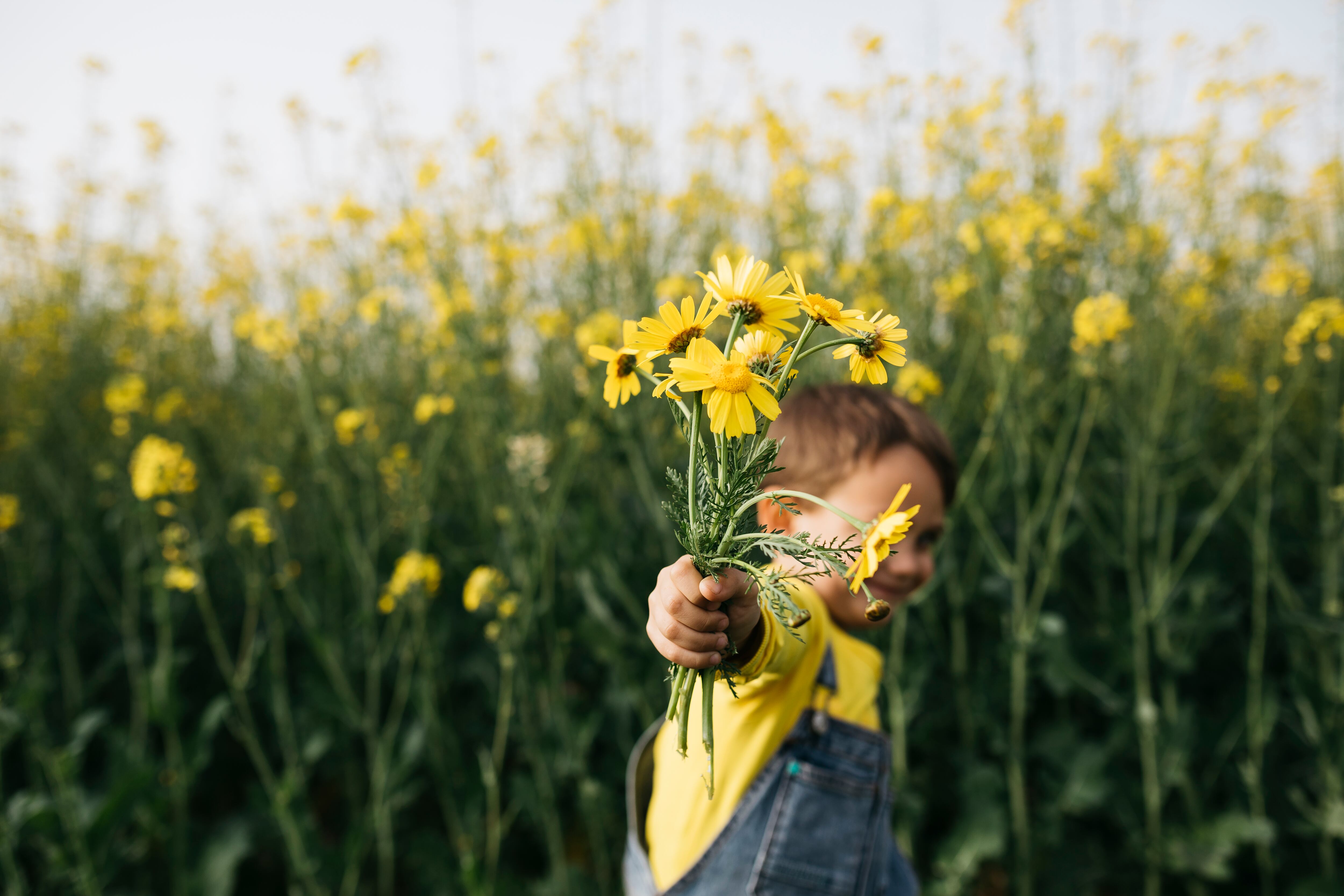 Niño sostiene flores amarillas. Imagen de referencia - Getty Images