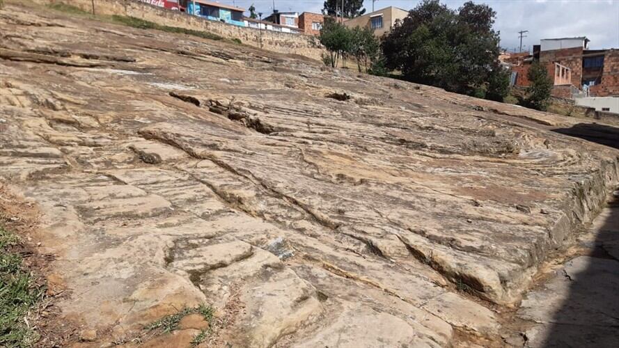 También se propuso el restablecimiento de un sendero ecológico en la Reserva Natural El Malmo. . Foto: W