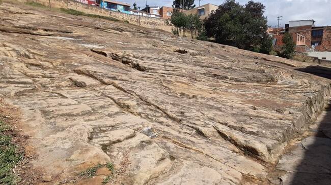 También se propuso el restablecimiento de un sendero ecológico en la Reserva Natural El Malmo. . Foto: W