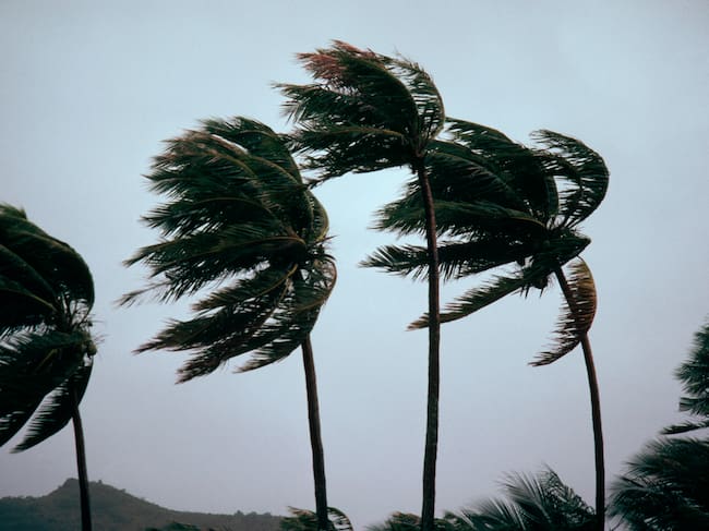Tormenta.