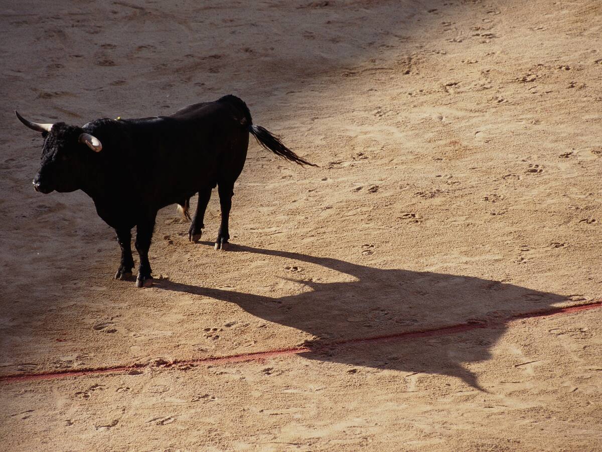 Congreso prohibió las corridas de toros en el país
