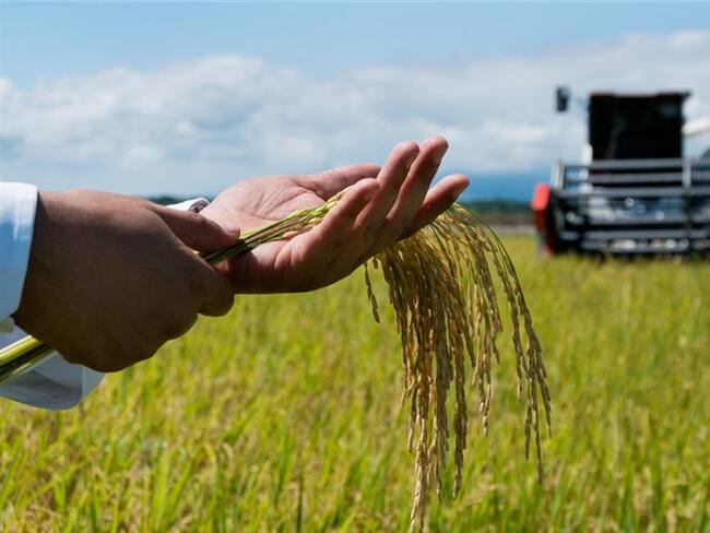 La nula acogida que ha tenido la reforma tributaria en sectores económicos y sociales