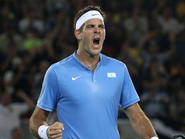 Juan Martín Del Potro . Foto: Agencia EFE