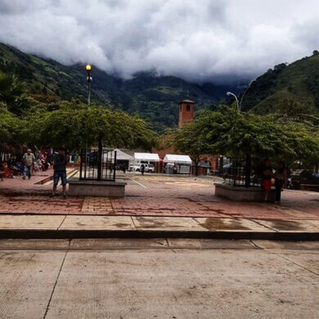 Los fallecidos desarrollaban acciones delincuenciales en Argelia, Cauca. Crédito: Colprensa.