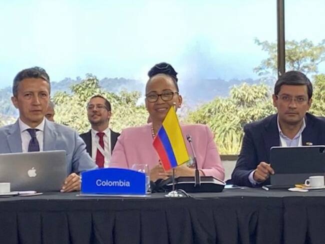 Viceministra de Asuntos Multilaterales, Elizabeth Taylor Jay (centro) en la LXII Cumbre de Jefes de Estados Parte del Mercosur y Estados Asociados, en Puerto Iguazú, Argentina. Foto: Cancillería.