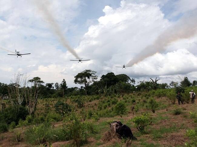 Obispos se oponen al uso del glifosato en Colombia. Foto: Colprensa