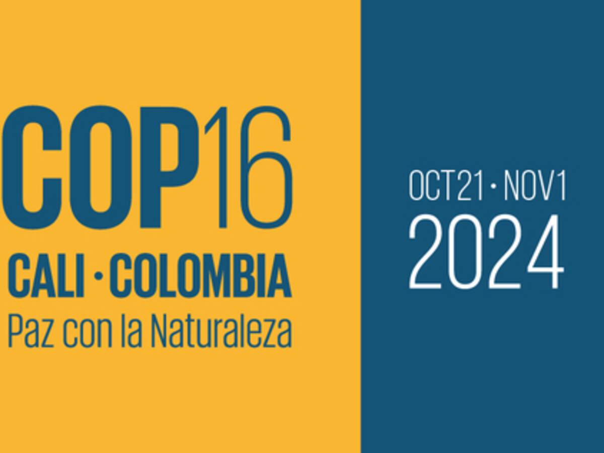 Organizadores de la COP16 ratifican que está garantizada la seguridad del evento