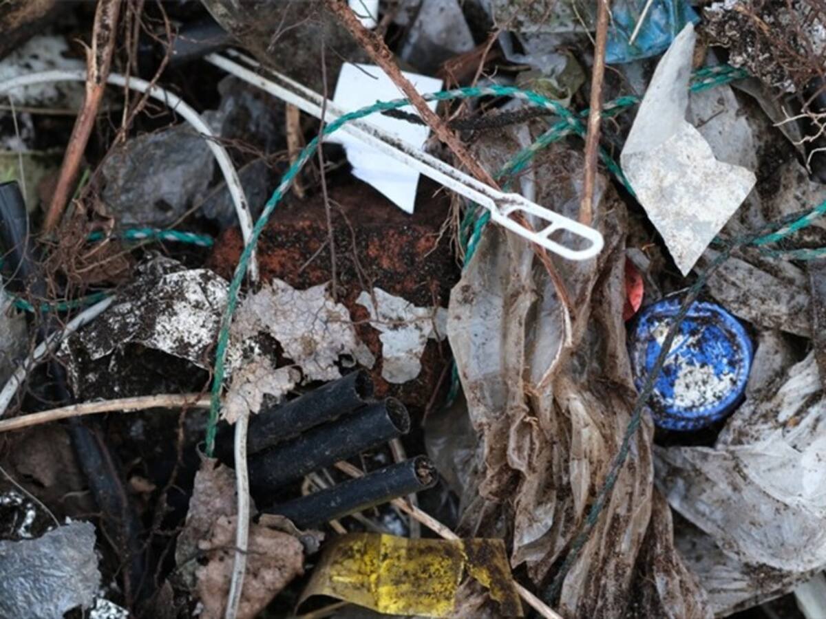 La aplicación móvil que busca convertir los residuos en fertilizantes