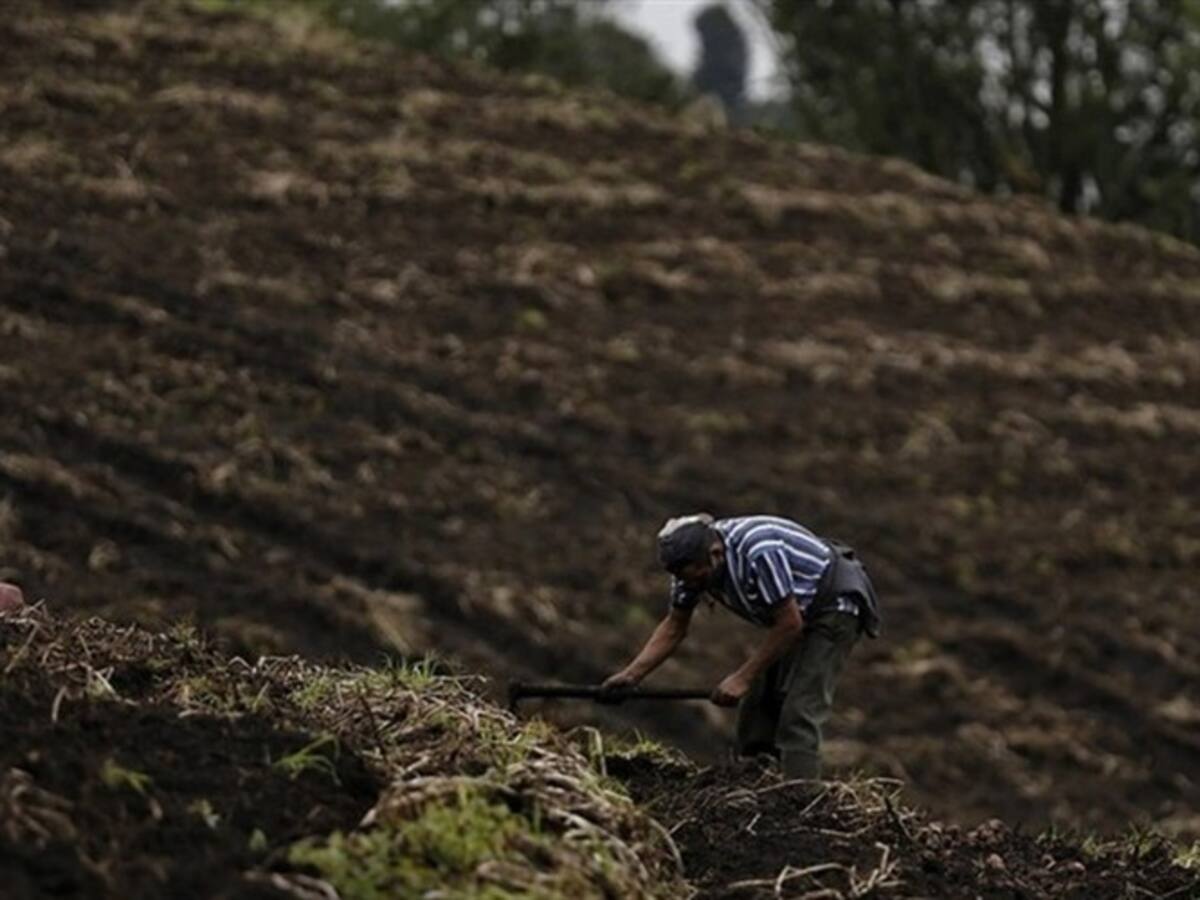 Dignidad Agropecuaria Boyacá pide a productores unirse al paro nacional
