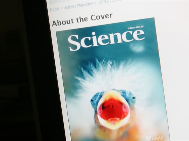 Revista Science. Foto: Getty Images