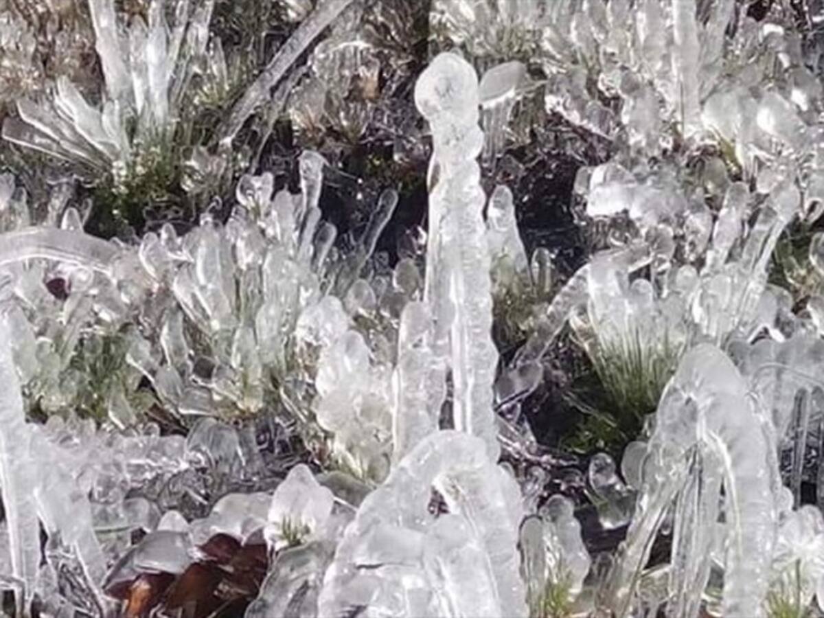 En Tona se declaró calamidad pública por heladas