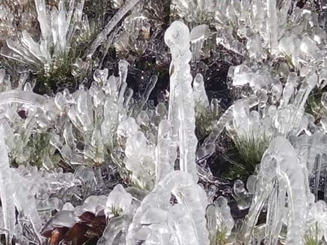 Los campesinos han tenido la pérdida total de sus cultivos, lo cual los obliga a volver a sembrar y de nuevo iniciar a crear sus productos. Foto: Redacción W Radio