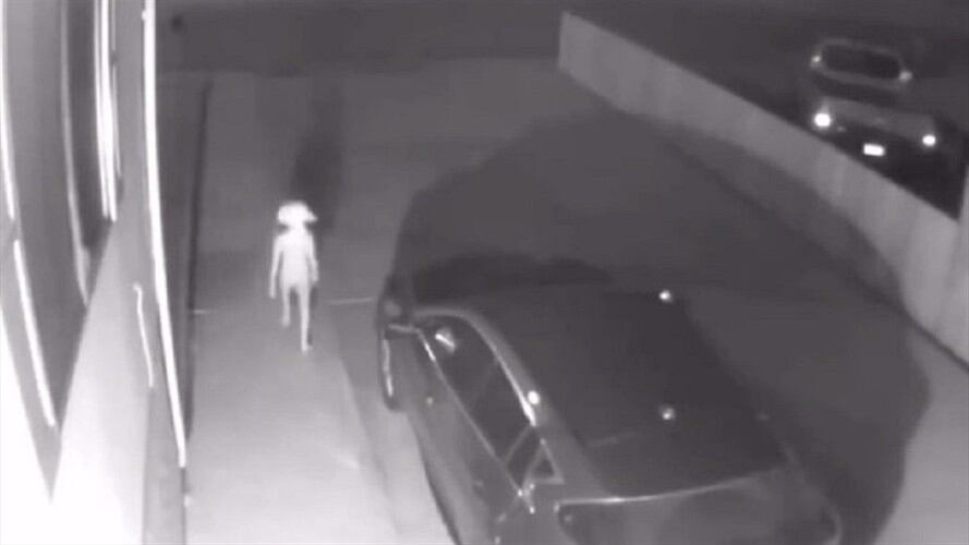 ¿Dobby? El escalofriante video que captó una extraña criatura . Foto: Captura de video