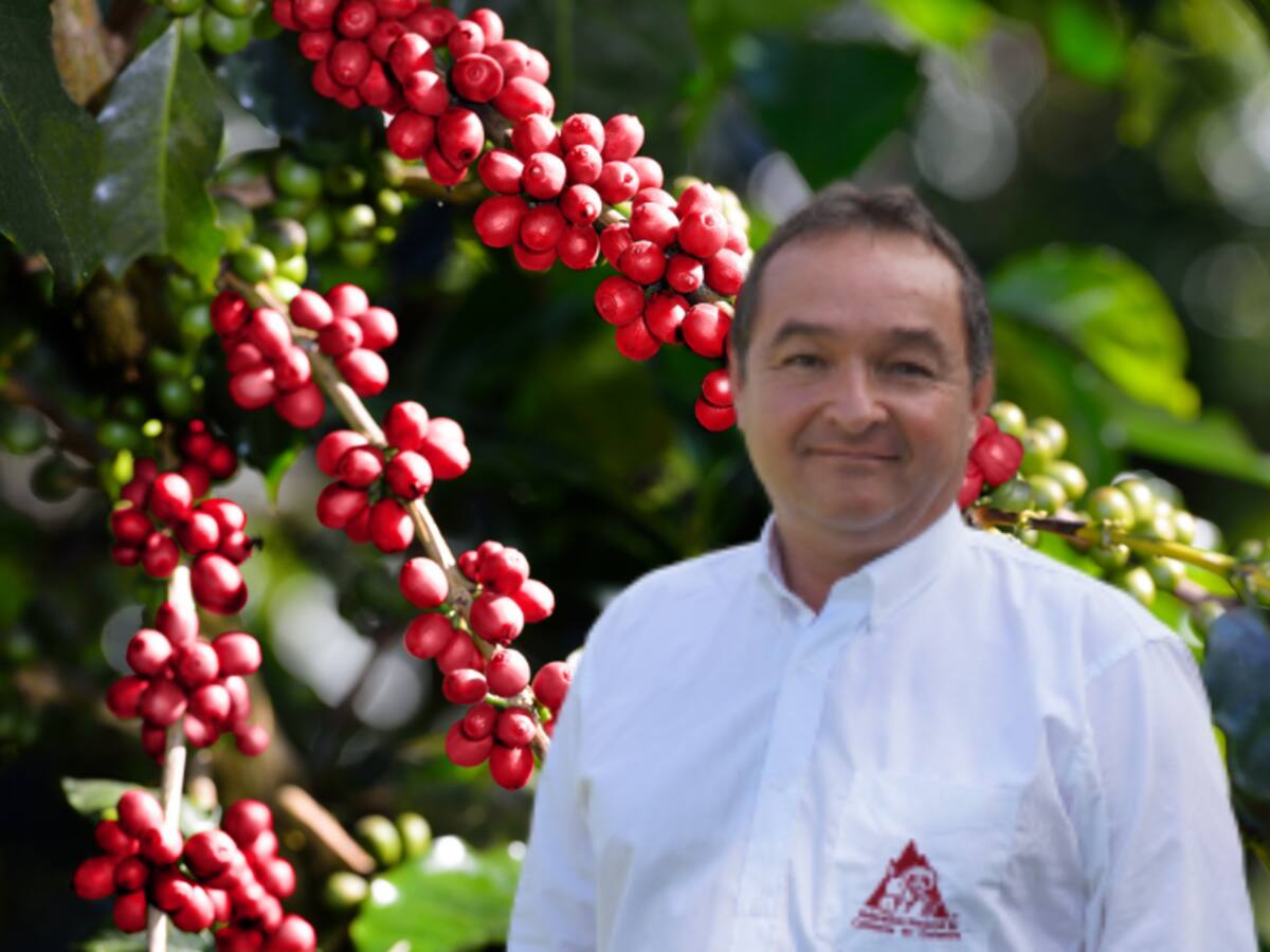 El departamento de Caldas es líder en la productividad cafetera en el territorio nacional