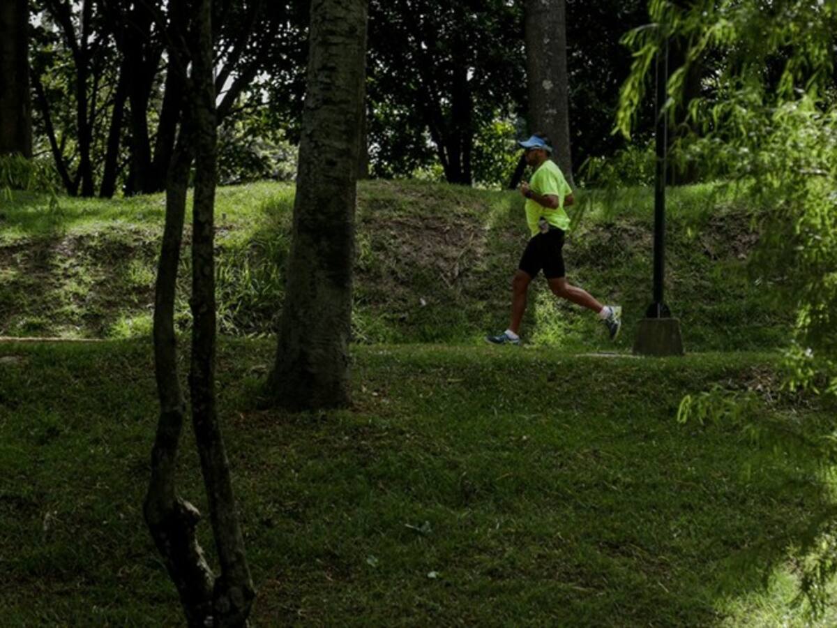 En el Parque Simón Bolívar serán plantados 500 árboles