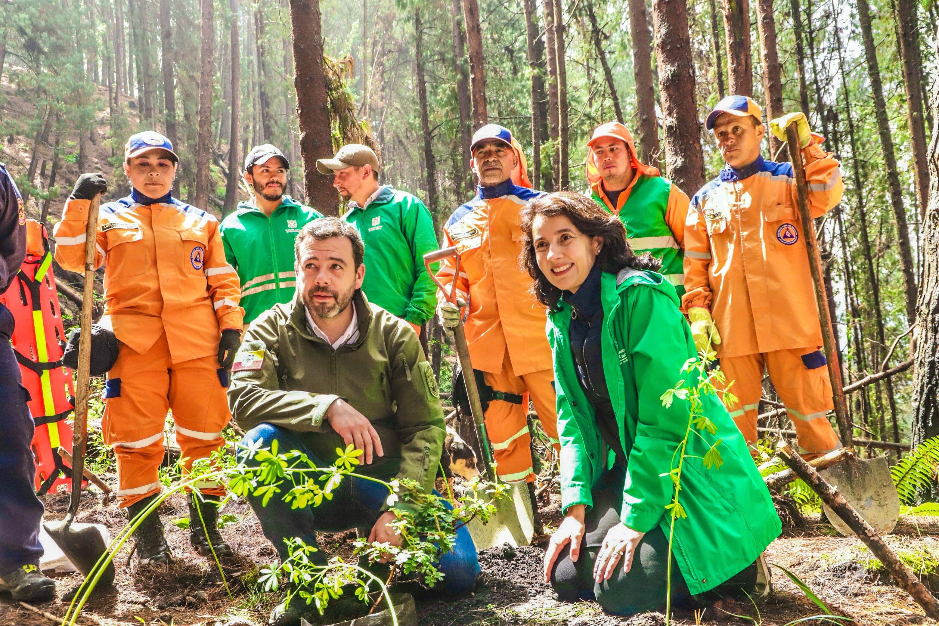 Foto: Secretaría de Ambiente de Bogotá.