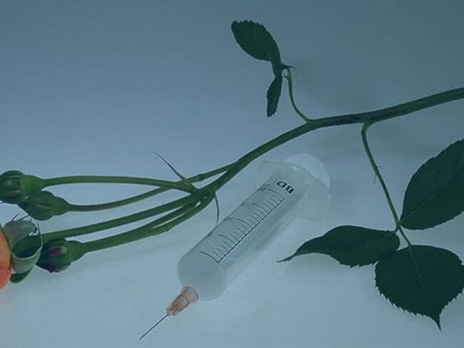 Es uno de los dilemas más complejos.. Foto: BBC Mundo