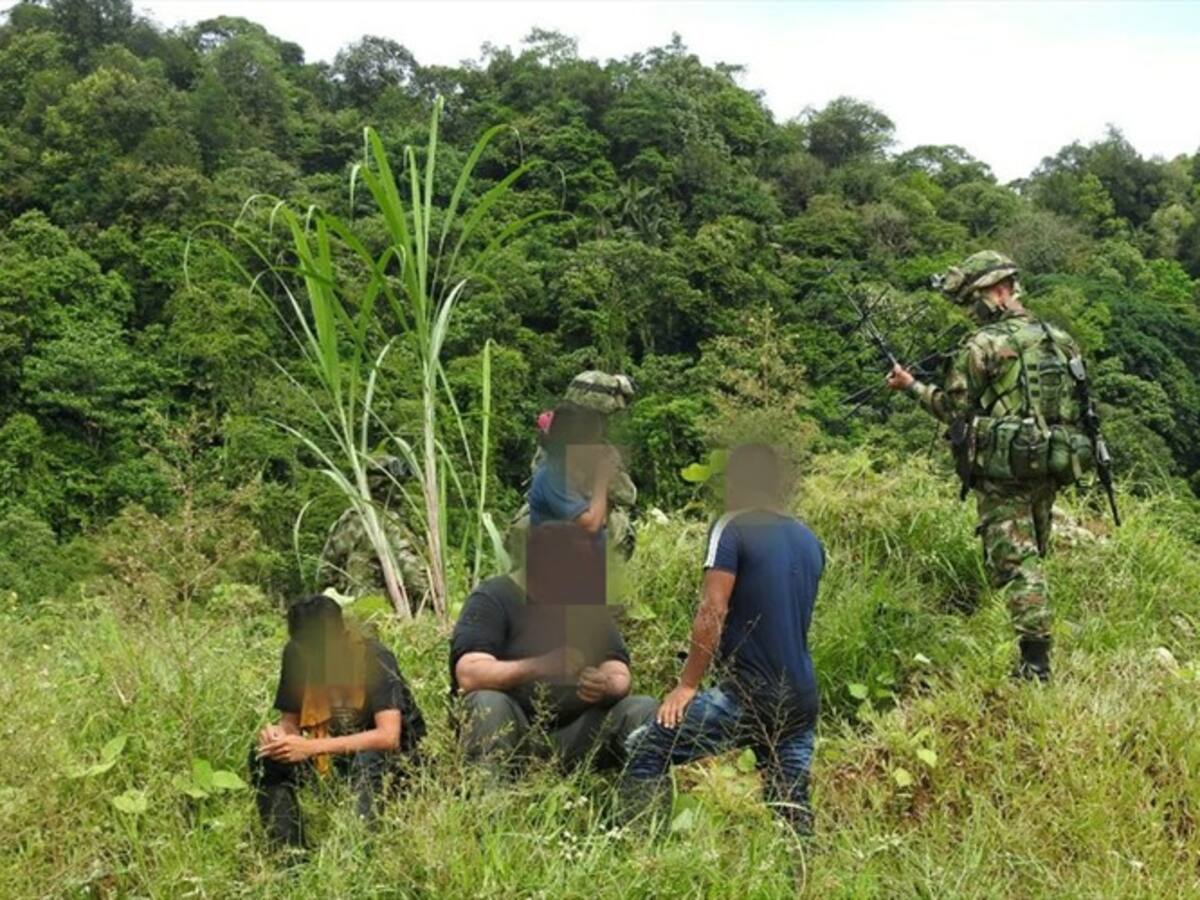 Otros cinco integrantes del Eln se desmovilizaron en Cauca
