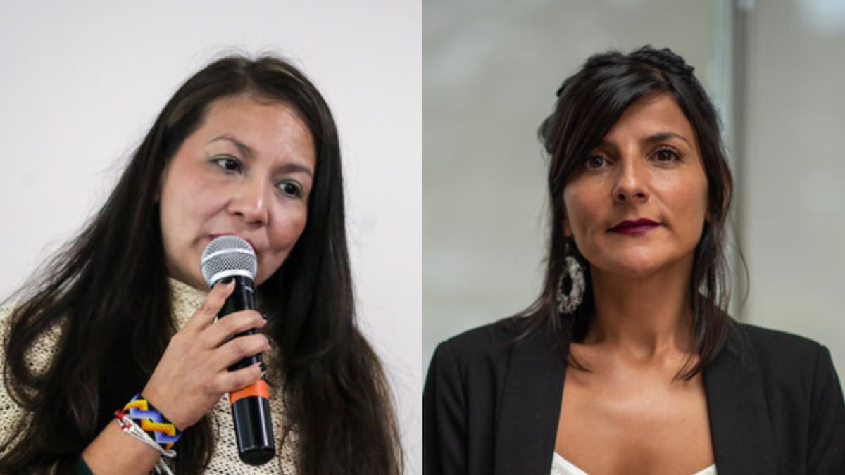 Gobierno aceptó renuncia de Lena Estrada como MinAmbiente: la reemplazará Irene Vélez