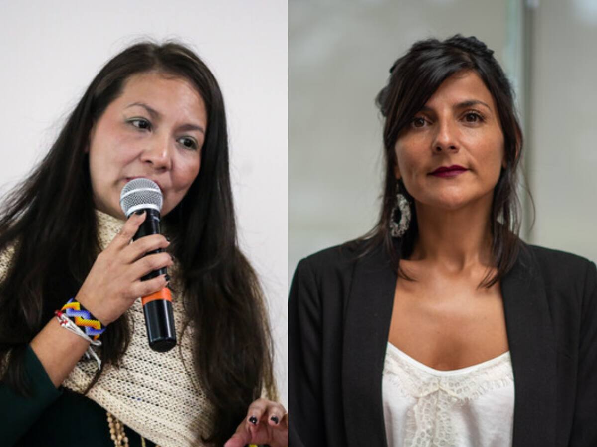 Gobierno aceptó renuncia de Lena Estrada como MinAmbiente: la reemplazará Irene Vélez