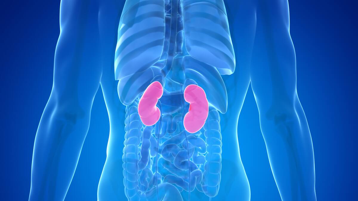 ¡Ojo! Estas son las prácticas que dañan los riñones y ocasionan la enfermedad renal