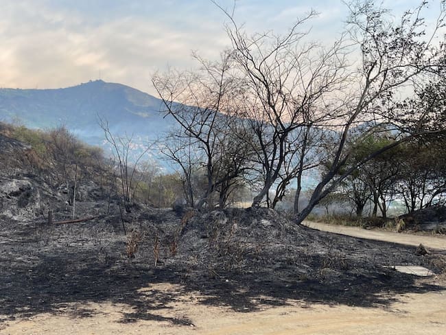 Controlan incendio forestal en Cali después de 17 horas