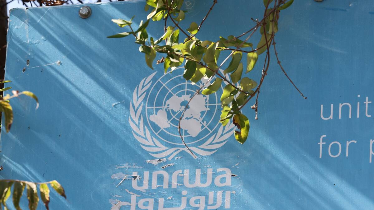 “Hamás tiene a UNRWA como base militar y se roba las ayudas”: Diputada Parlamento israelí