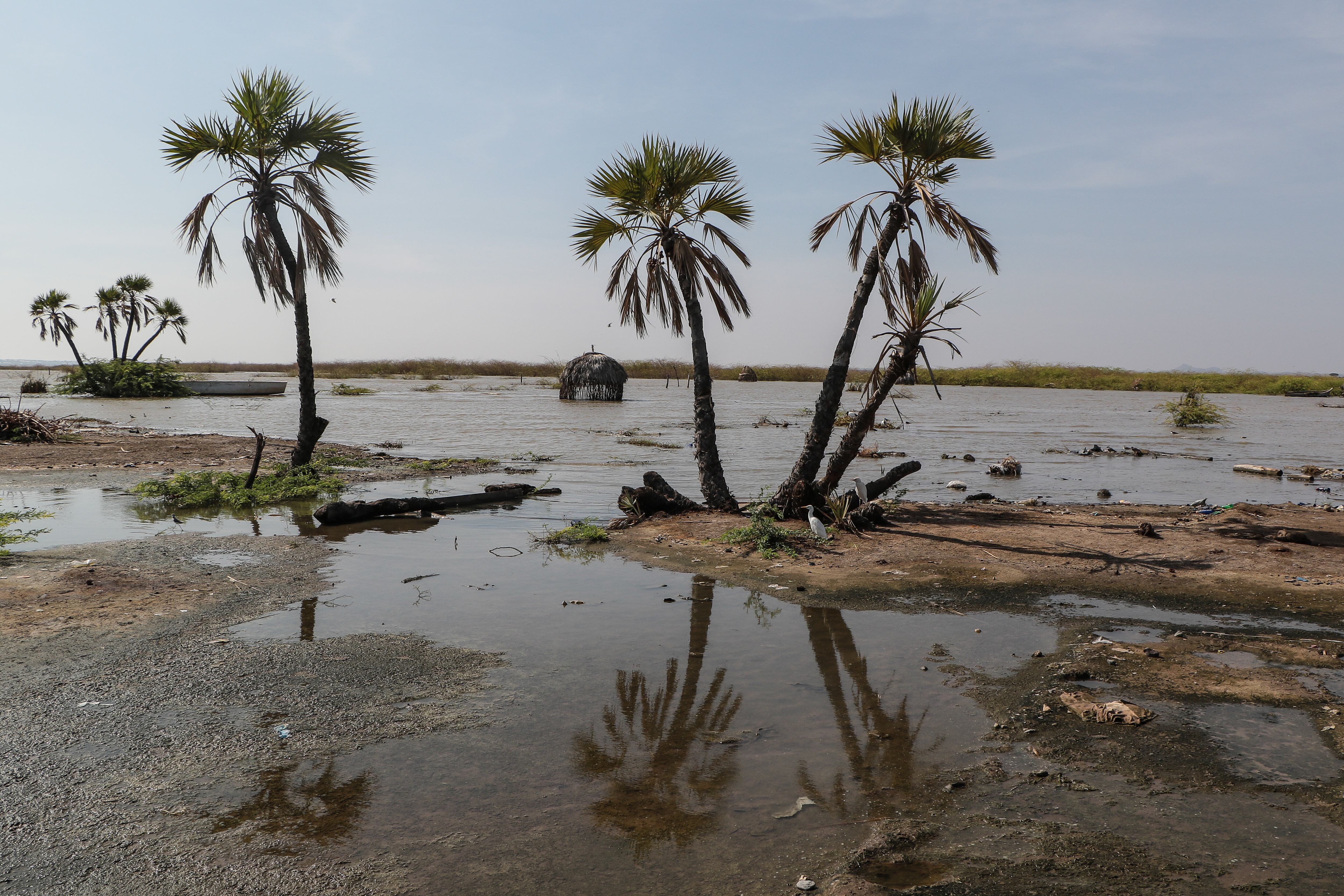 Gran Valle del Rift. Foto: James Kamau Wakibia/Anadolu via Getty Images.