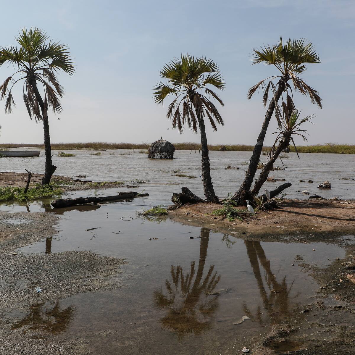 África se está partiendo en dos formando nuevo mar, según científicos: National Geographic explicó