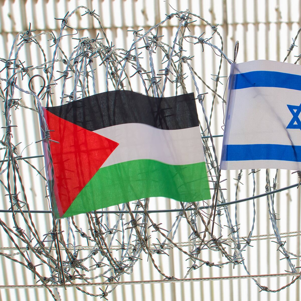 Urgente que cesen actos de violencia entre Israel y Palestina: Colombia por ataque a Yenín