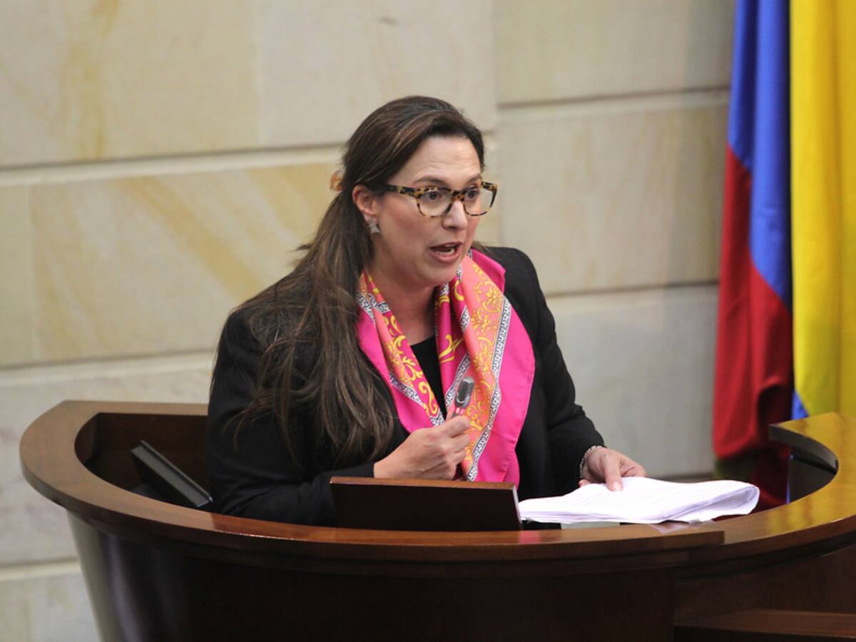 Natalia Ángel es la nueva magistrada de la Corte Constitucional: “la tercera es la vencida”
