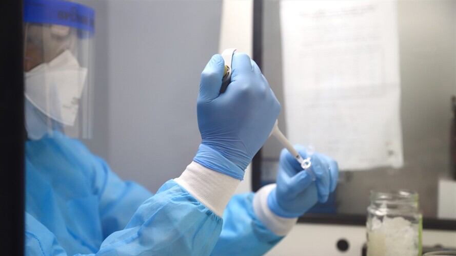 Las pruebas se realizarán en el Laboratorio UNIMOL de Unicartagena. Foto: Cortesía