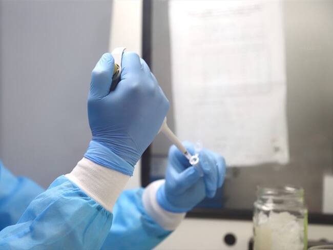 Las pruebas se realizarán en el Laboratorio UNIMOL de Unicartagena. Foto: Cortesía