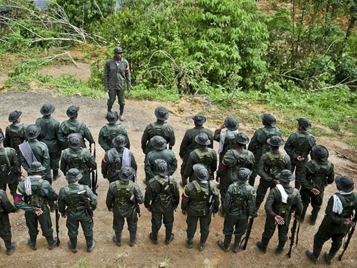 "'Timochenko' decía que un niño "biche" era mejor para adoctrinar": víctima de las Farc