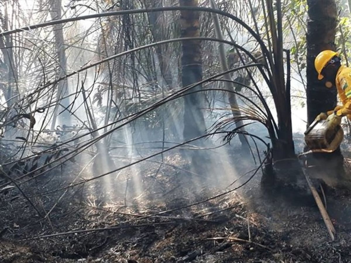 Solicitan aeronaves bambi para apagar voraz incendio en Norte de Santander