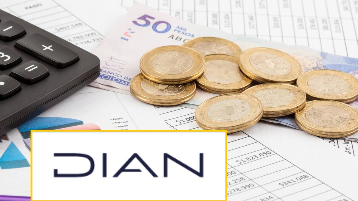 Si cumple estos criterios NO debe declarar renta en 2025: Dian aclaró los requisitos fiscales