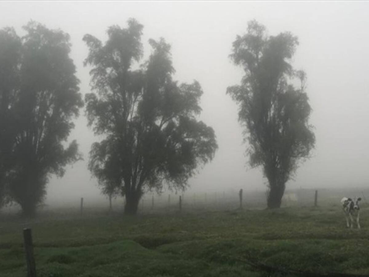 Temperaturas por debajo de -4.8 centígrados activa las alertas en Boyacá