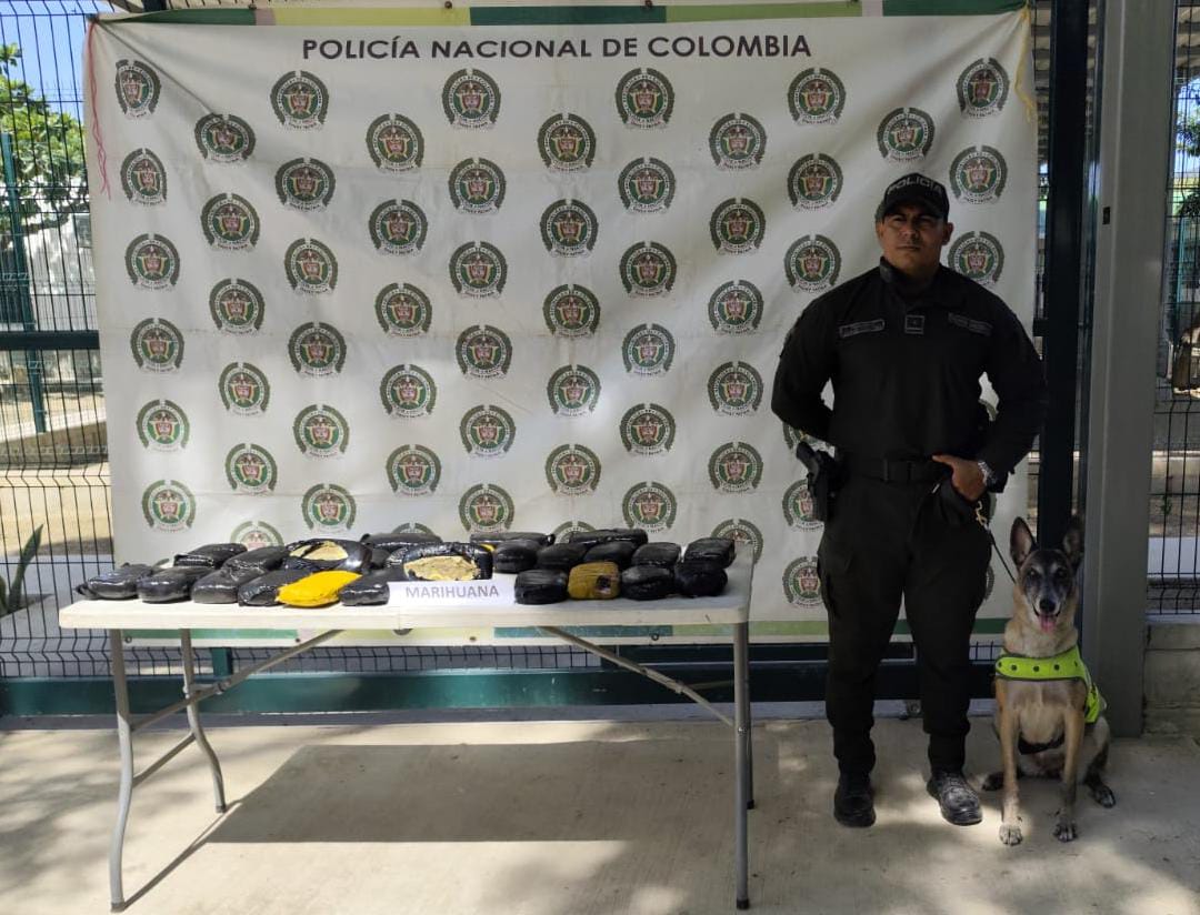Canino detecta 13.000 gramos de Marihuana en empresa de encomiendas en Santa Marta/ Policía Metropolitana de Santa Marta.
