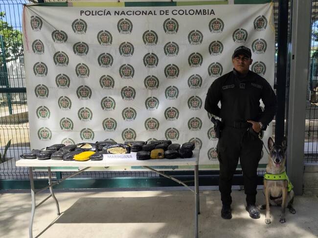 Canino detecta 13.000 gramos de Marihuana en empresa de encomiendas en Santa Marta/ Policía Metropolitana de Santa Marta.