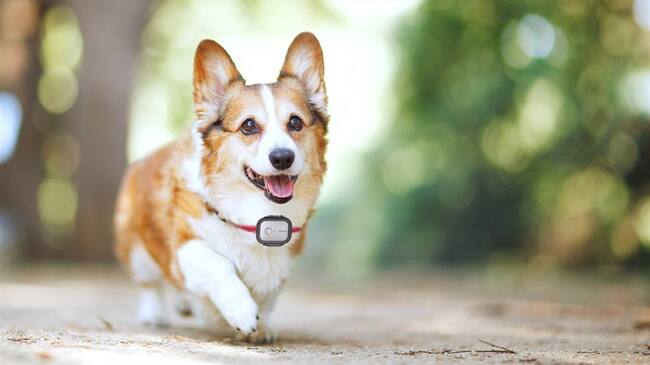 Los usuarios pueden ver la posición exacta de varios dispositivos simultáneamente desde su smartphone.. Foto: Cortesía Huawei