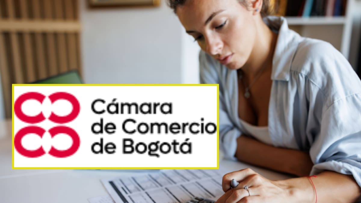 ¿Cómo saber su código CIIU? Consúltelo según su actividad económica: paso a paso