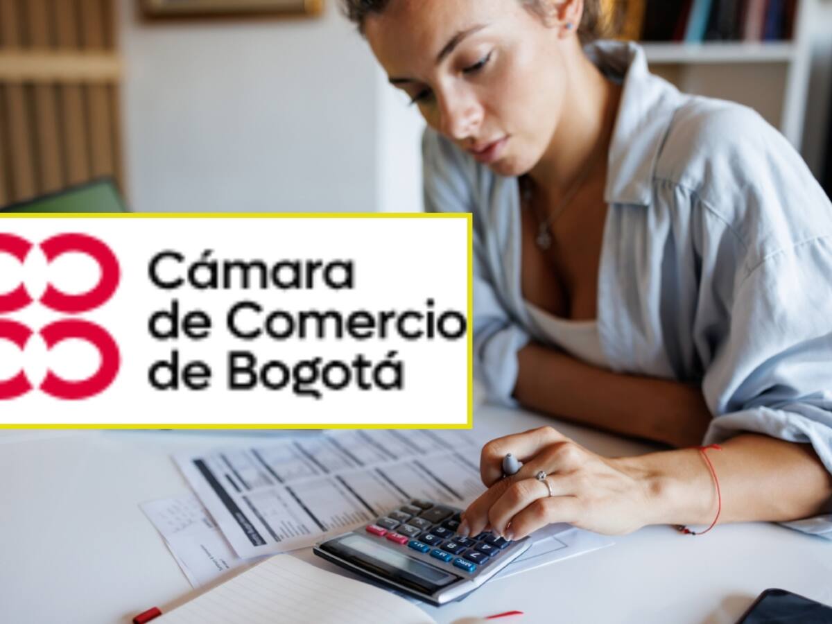 ¿Cómo saber su código CIIU? Consúltelo según su actividad económica: paso a paso