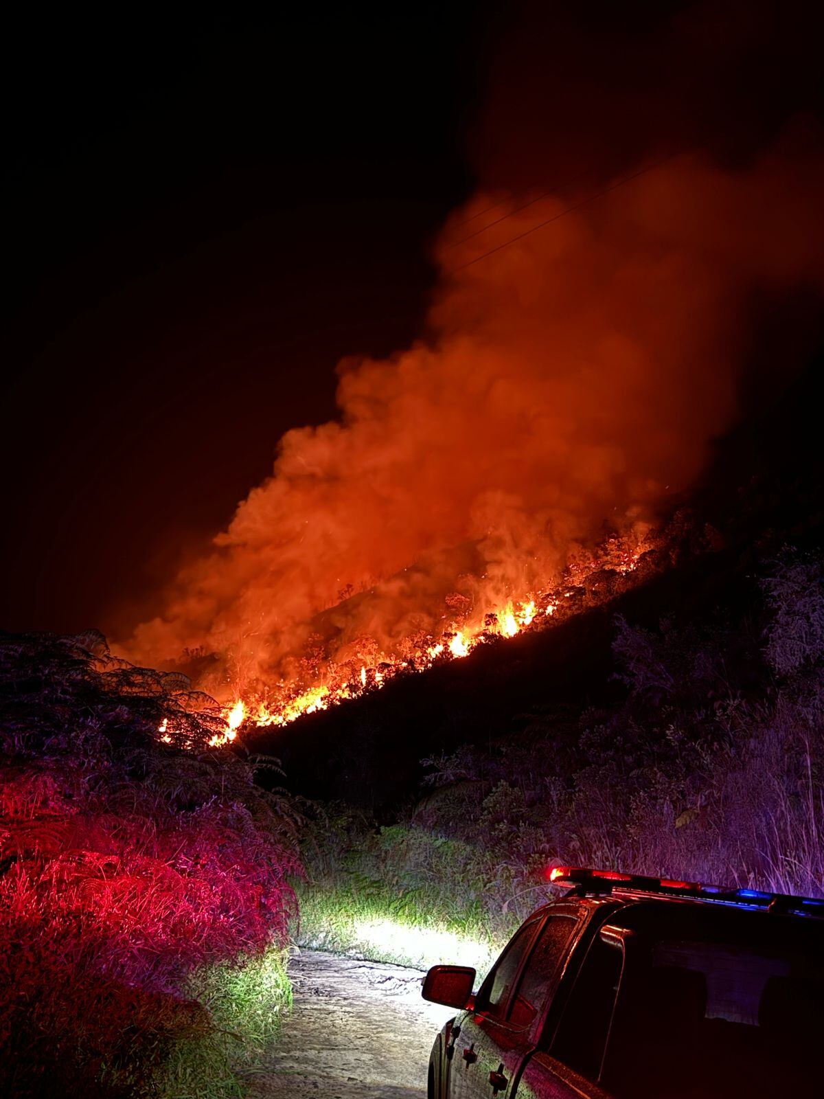 No se ha podido controlar incendio forestal en Sucre, Santander. Foto: Suministrada.