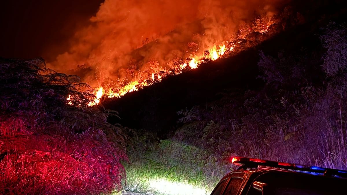 No se ha podido controlar incendio forestal en Sucre, Santander