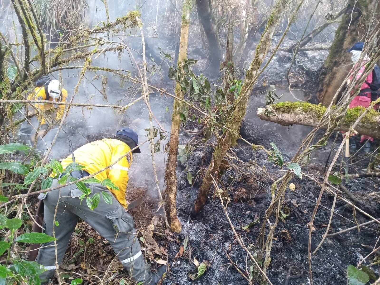 Foto: Gobernación del Valle