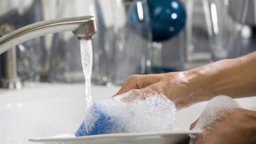 De acuerdo con una investigación de la Universidad de Psicología de la Florida este tipo de actividades pueden ser beneficiosas para la salud.. Foto: