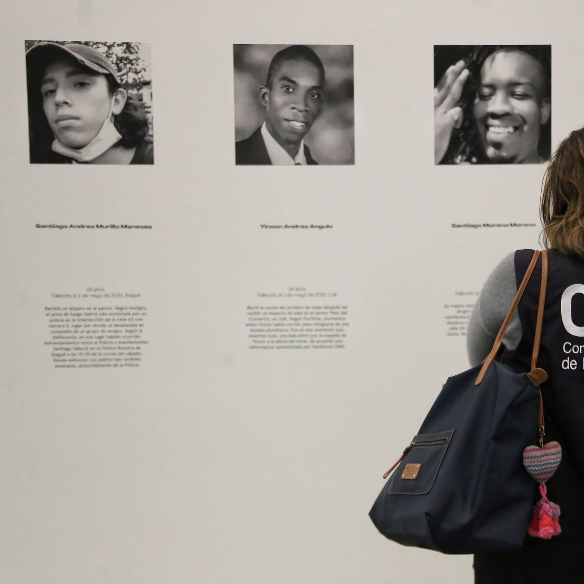 CIDH expresó preocupación por homicidio de más de 60 líderes sociales en Colombia