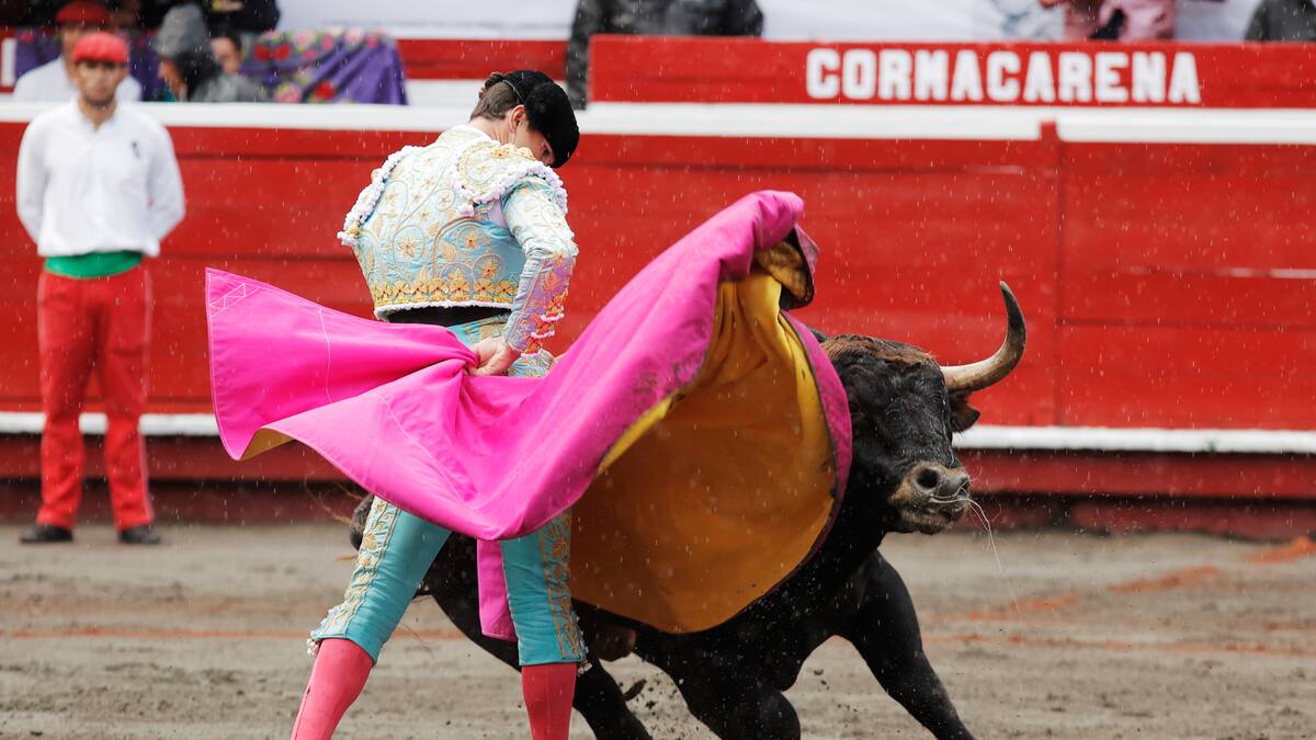 ¿Buscan tumbar la prohibición de las corridas de toros? Congresistas debatieron sobre polémica
