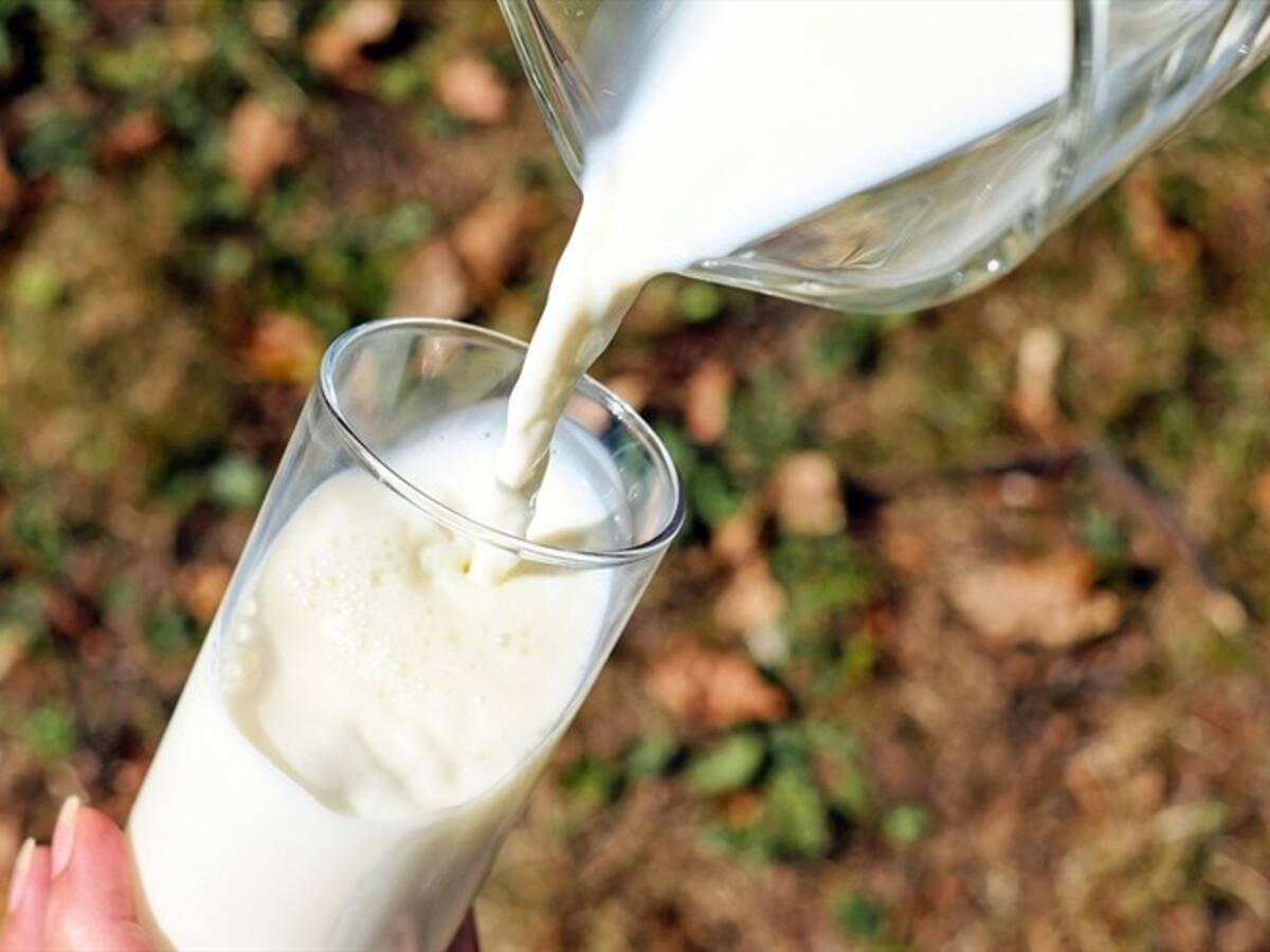 ¿Cuál es la leche más saludable? Experta responde