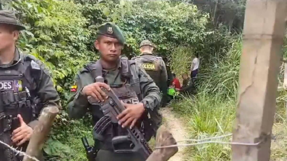 Menor de 4 años murió al ser atacado por perros Pitbull